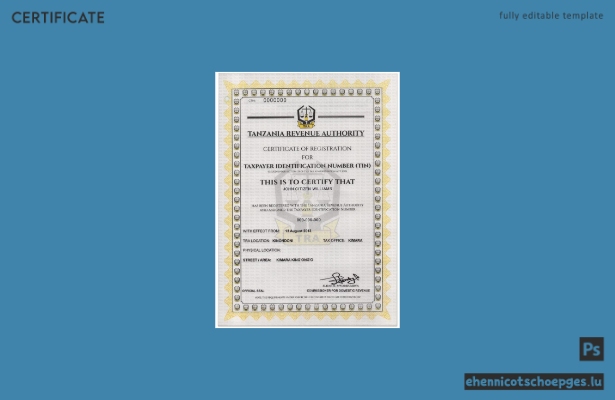Beispielansicht der Registrierungsbescheinigung für die Steueridentifikationsnummer (TIN) in Tansania